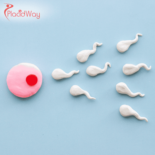 Intracytoplasmic Sperm Injection (ICSI) in Colombia: A Cost-Effective Fertility Solution for Australian Couples